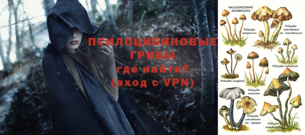 ALPHA PVP Киреевск