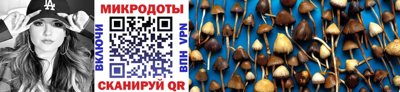 Псилоцибиновые грибы мухоморы  Купить закладки  Красноперекопск 
